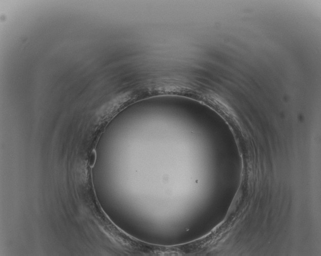 X0000063490401200601271725