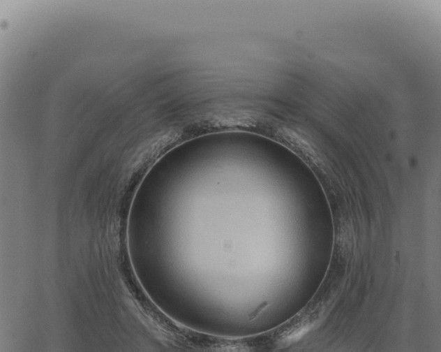 X0000063490402200601271725