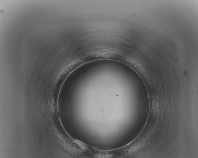 X0000063490403200601271725