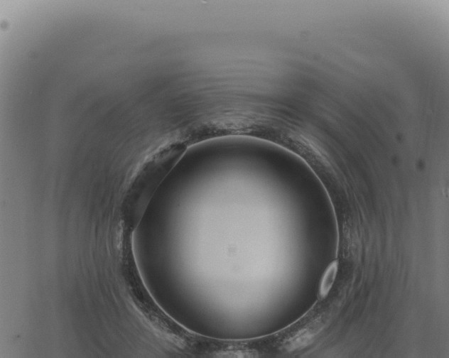 X0000063490404200601271725