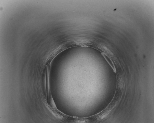 X0000063490405200601271725