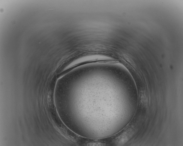 X0000063490408200601271725