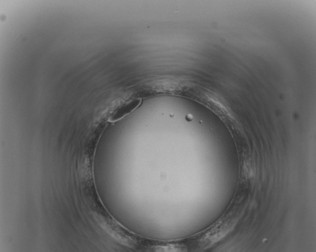 X0000063490411200601271725