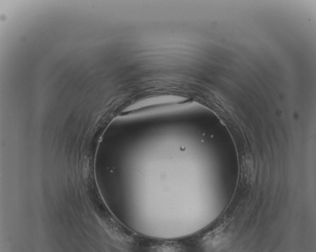 X0000063490412200601271725