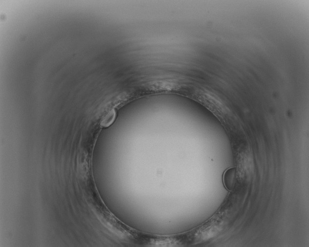 X0000063490414200601271725