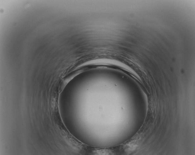 X0000063490417200601271725