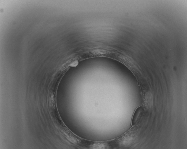 X0000063490418200601271725