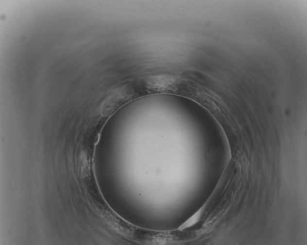 X0000063490420200601271725