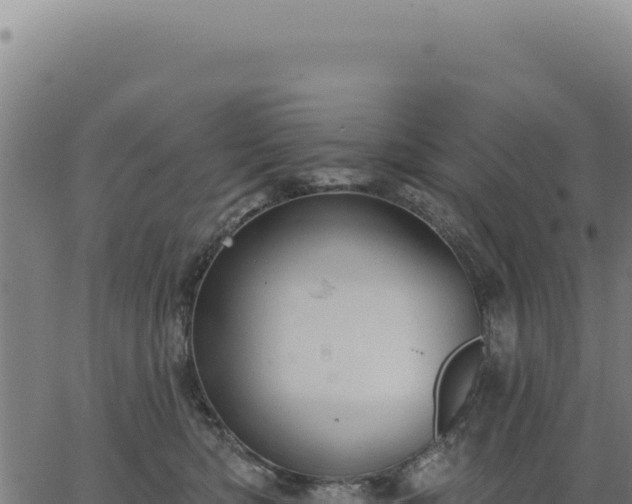 X0000063490422200601271725