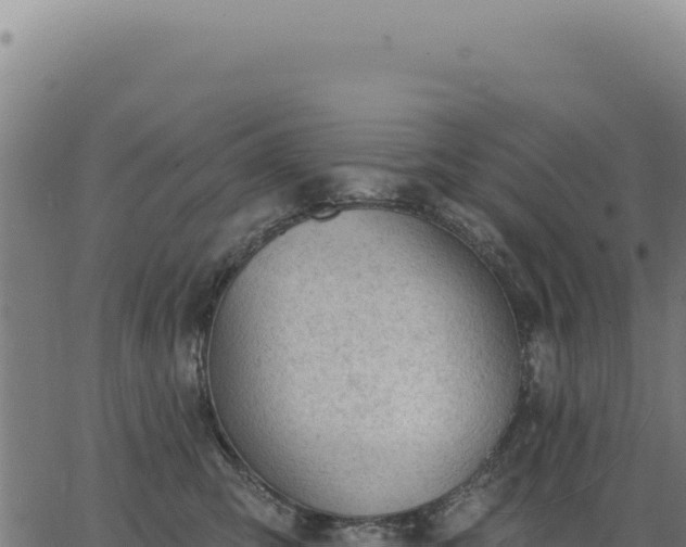 X0000063490423200601271725