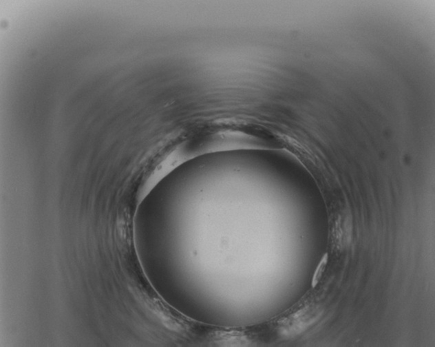 X0000063490424200601271725