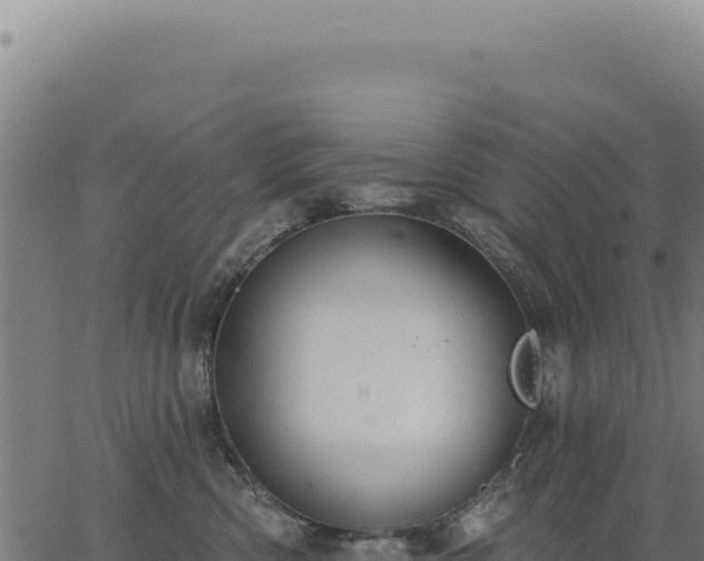 X0000063490426200601271725