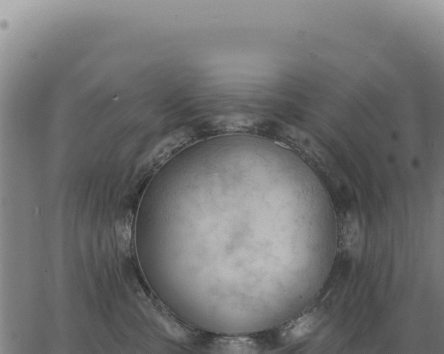 X0000063490427200601271725