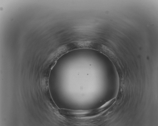 X0000063490428200601271725