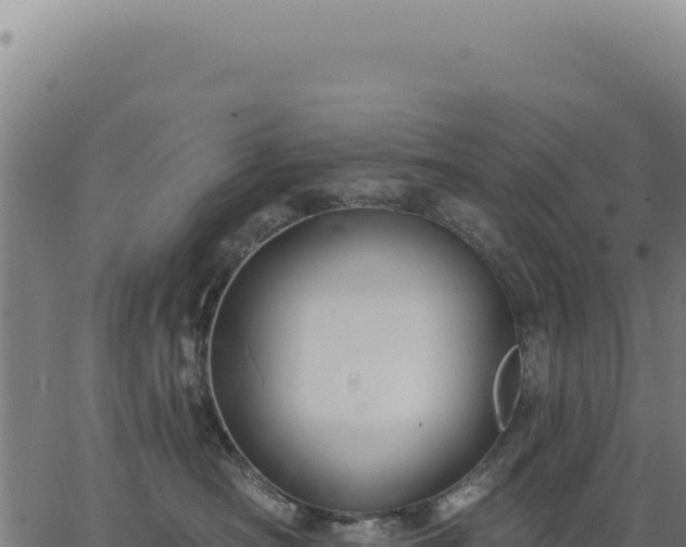 X0000063490430200601271724