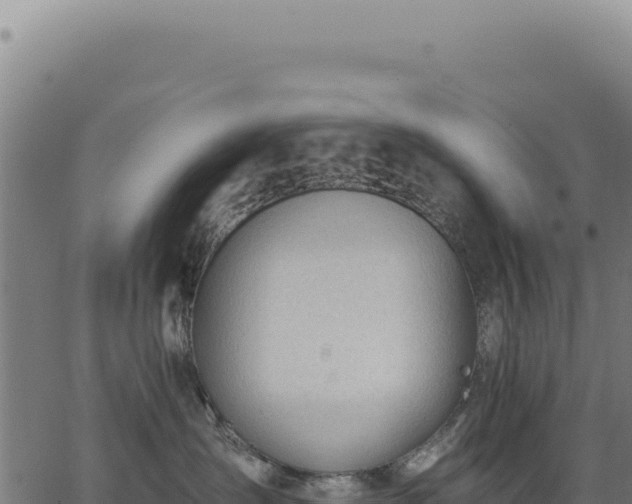 X0000063490431200601271724