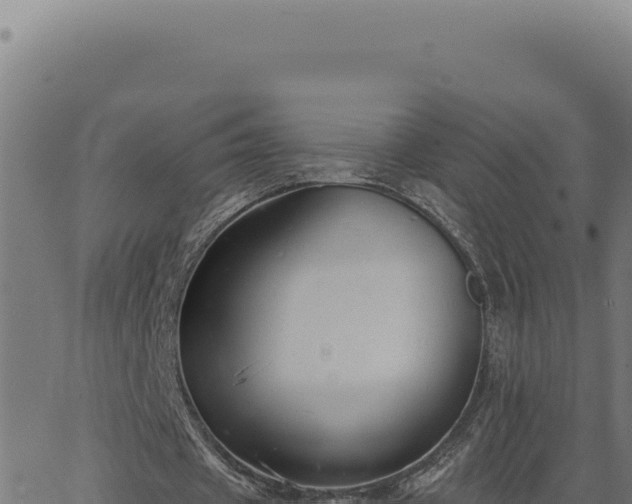 X0000063490433200601271724