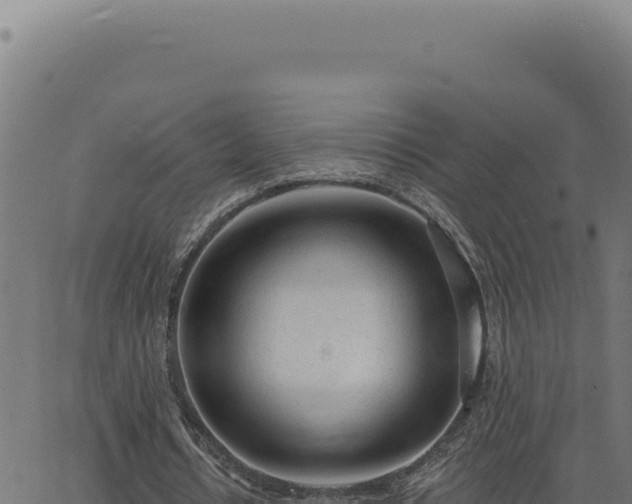 X0000063490434200601271724