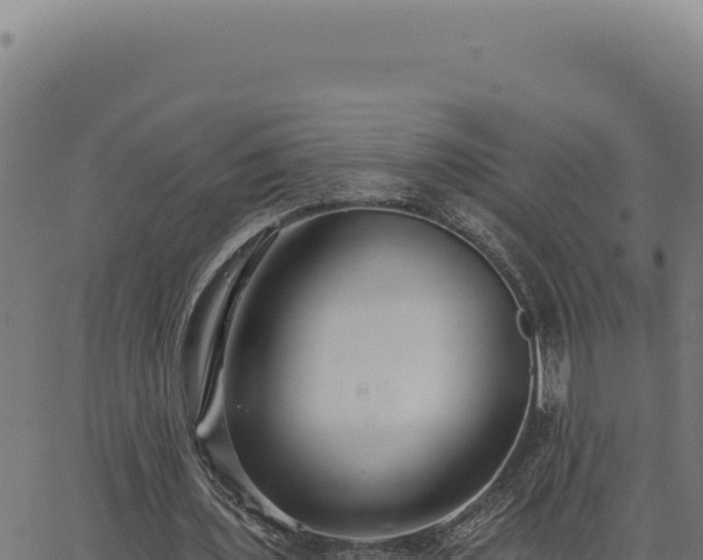 X0000063490435200601271724