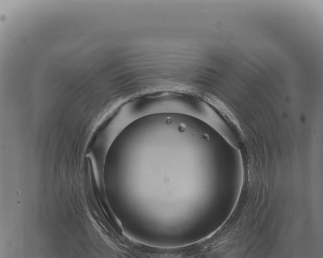 X0000063490436200601271724