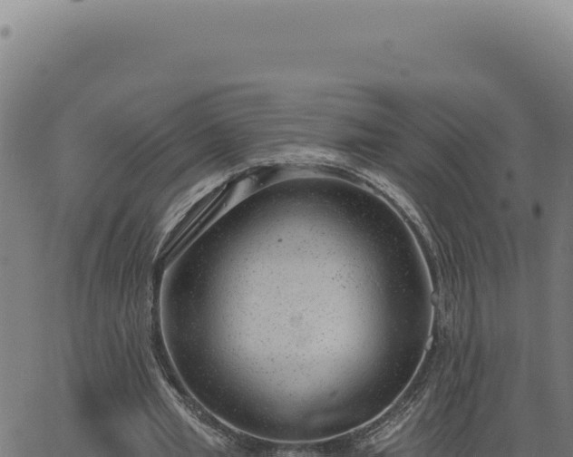 X0000063490437200601271724