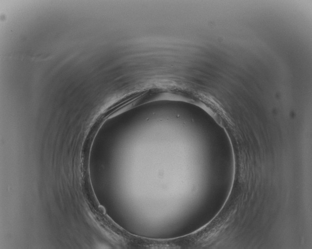 X0000063490439200601271724