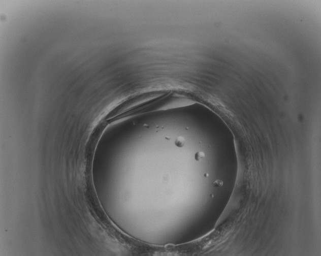 X0000063490440200601271724