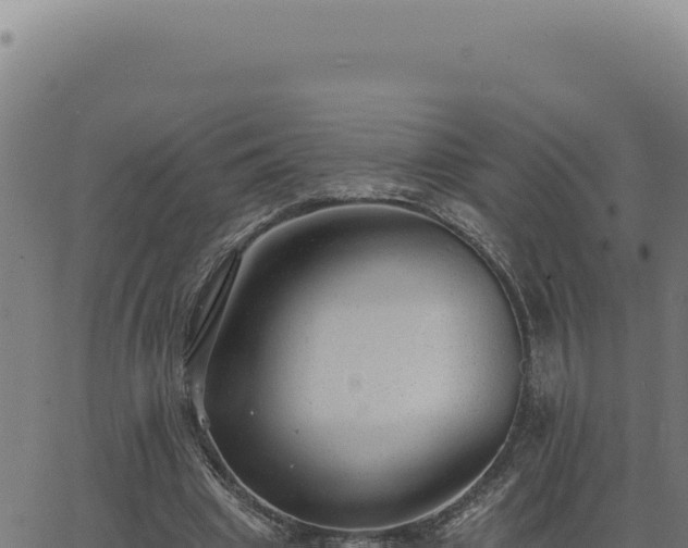 X0000063490441200601271724