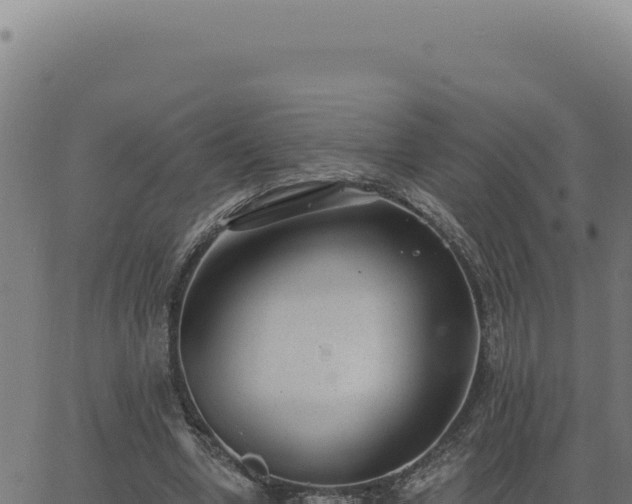 X0000063490442200601271724