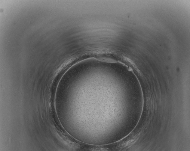 X0000063490443200601271724