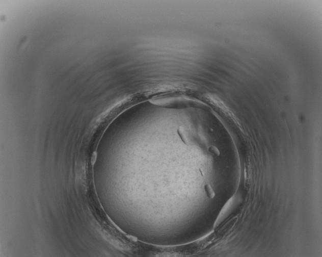 X0000063490444200601271724