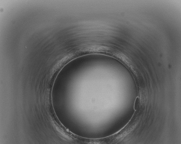 X0000063490445200601271724