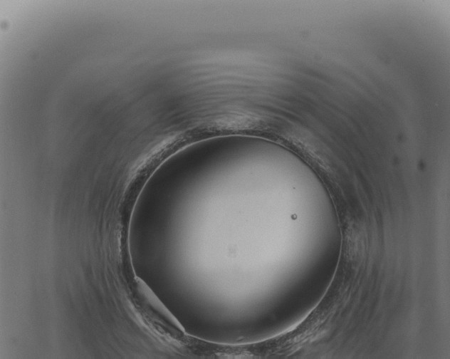 X0000063490446200601271724