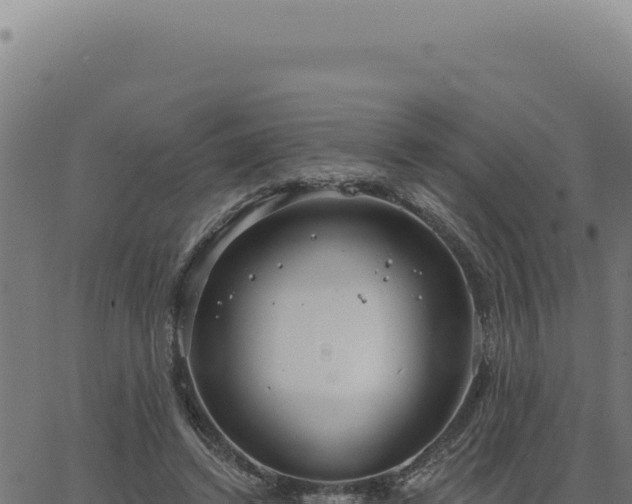 X0000063490448200601271724