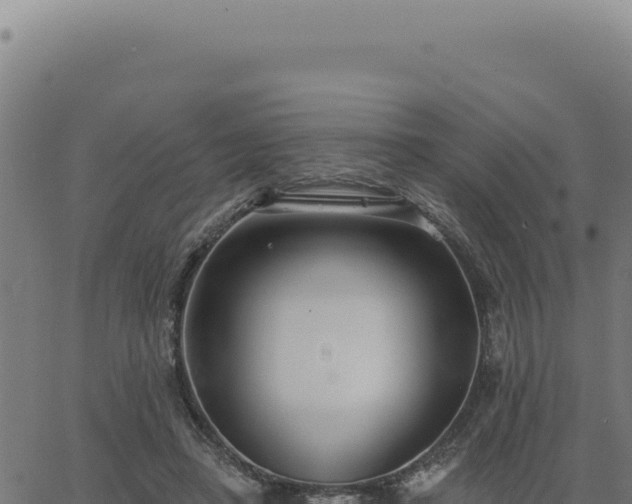 X0000063490450200601271724