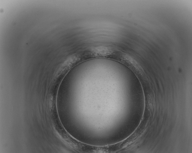 X0000063490451200601271724