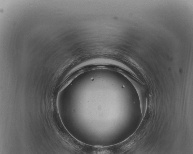 X0000063490452200601271724