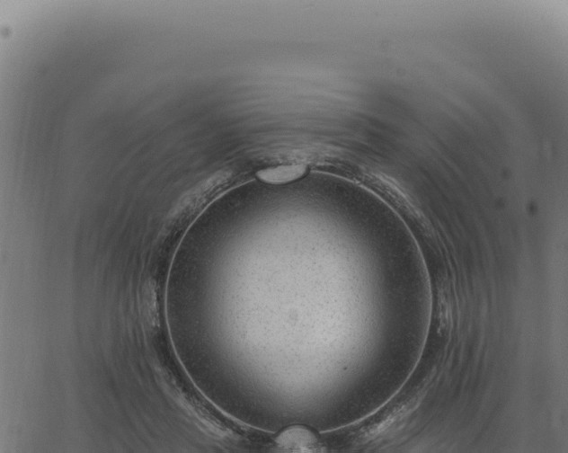 X0000063490453200601271724