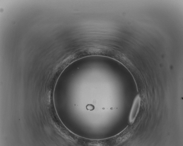 X0000063490454200601271724