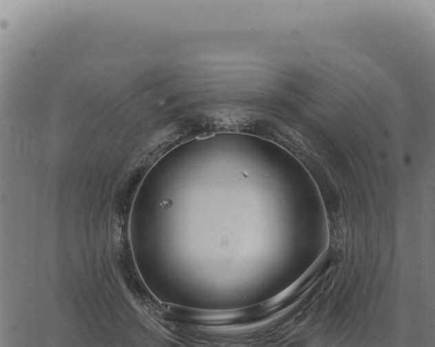 X0000063490456200601271724