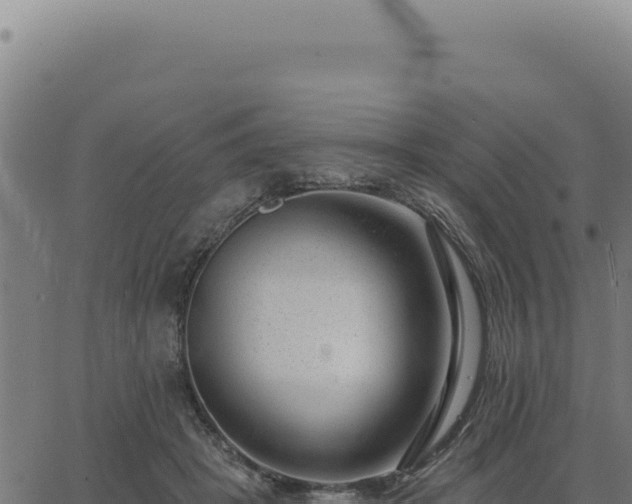 X0000063490457200601271724