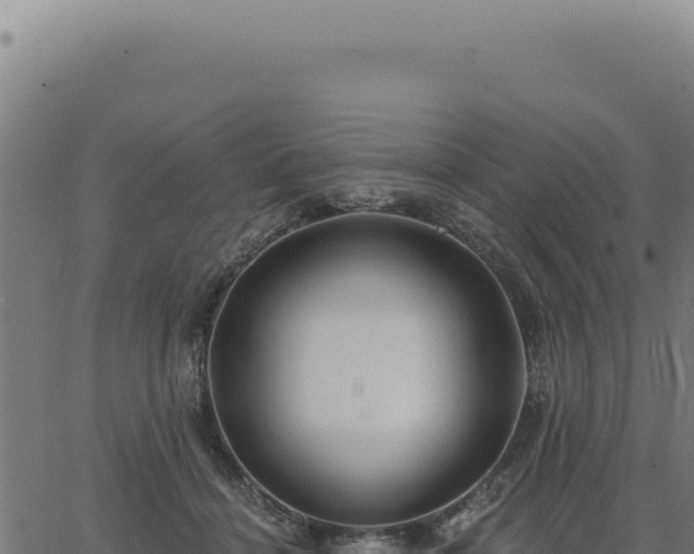 X0000063490460200601271724