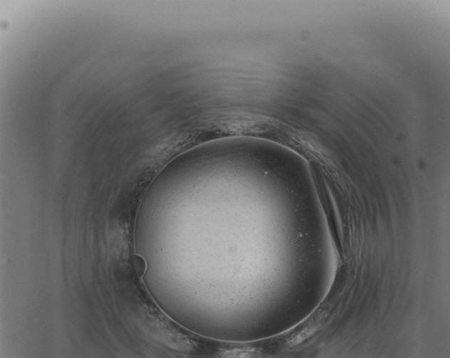 X0000063490461200601271724