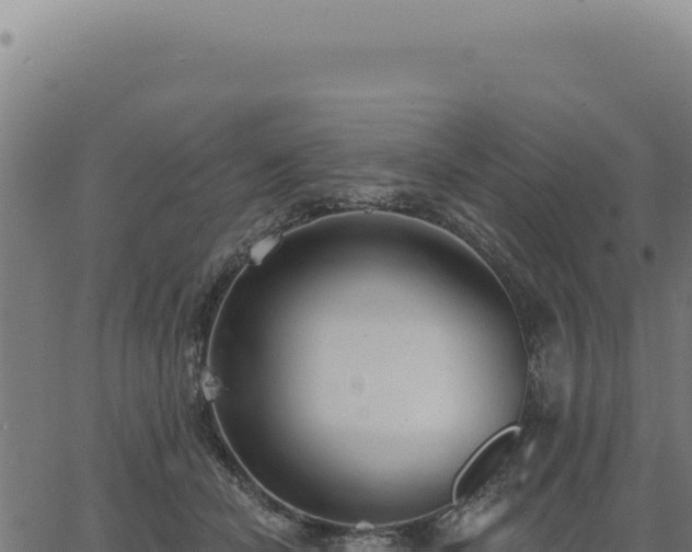 X0000063490462200601271724