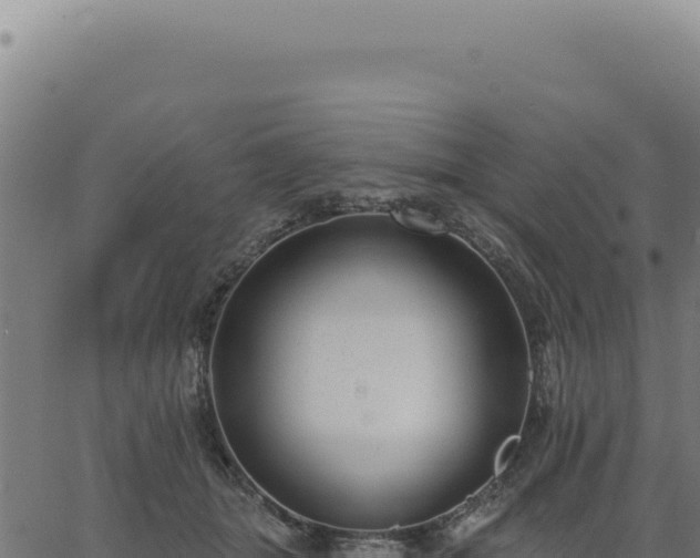 X0000063490463200601271724