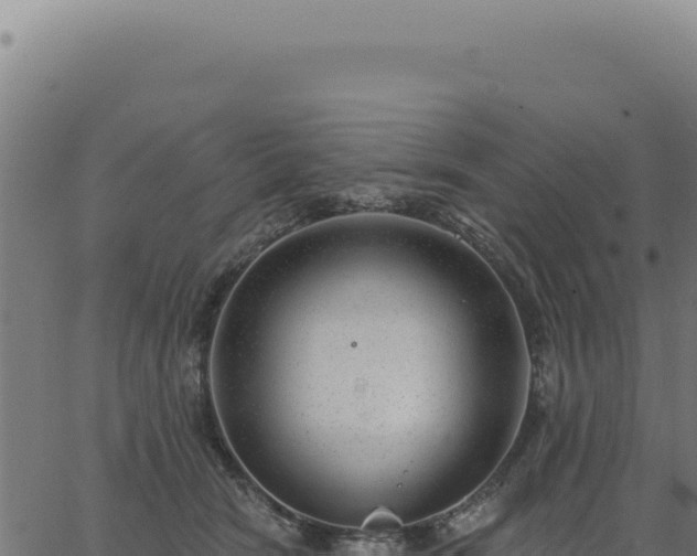 X0000063490466200601271724