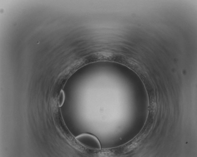 X0000063490468200601271724