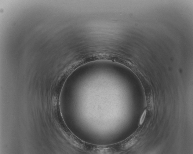 X0000063490472200601271724