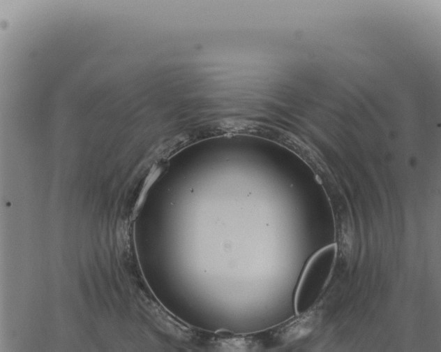 X0000063490473200601271724