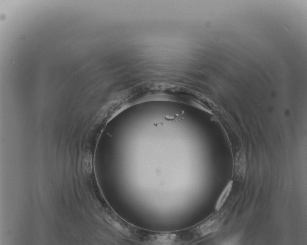 X0000063490474200601271724